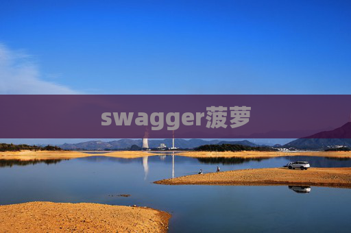 swagger菠萝 swagger菠萝